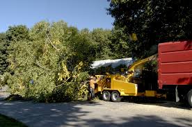 Maybe you would like to learn more about one of these? Services Calwest Tree Service