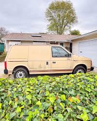 Image result for Mink Brown 1985 Dodge