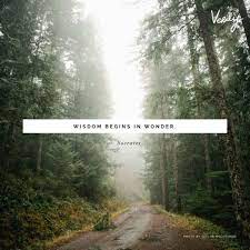 Wisdom Begins In Wonder Verily