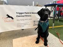 Core Pawtential | Surf’s Up Cup
