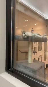 Pet paradise resort, located in humble, texas, is at will clayton parkway 7117. Paradise Pet Resort Home Facebook