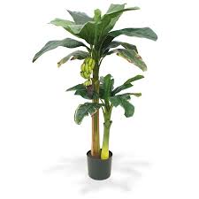 It is, however, much easier to care for, is maintenance free and. Artificial Banana Palm Tree 140 Cm Maxifleur Artificial Plants