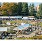 Setagaya Bread Festival event image