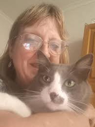 Has anyone seen this cat around the B44 area, his name is Buddy and is  chipped and neutered, he's been missing for coming up to 4 weeks I've  looked everywhere and have