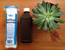 Mist the slippers with a solution of 2 tbsp. 11 Ways To Freshen Smelly Sandals Schuler Shoes Blog