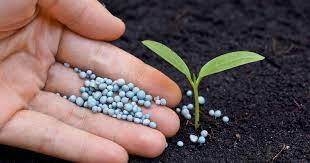 Below you can read my take on the best fertilizers for philodendron plants along with a short review of each. How Much Fertilizer To Use And How Do You Apply It