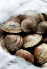 Maybe you would like to learn more about one of these? New England Clam Chowder Recipe