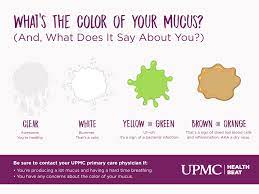 Jul 31, 2011 at 4:50 pm. What Is Mucus Surprising Facts About Your Boogers Upmc Healthbeat