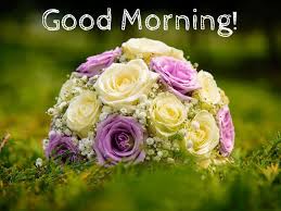 Good morning images with flowers: 50 Good Morning Wish Images With Roses Lets Buy Best