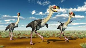 Https Blog Assets Triviagenius Com 2019 04 Terror Jpg In 2020 Weird Animals Animals Extinct Animals