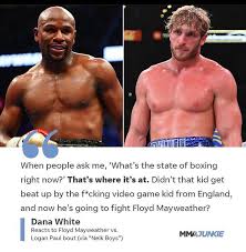 Logan and jake paul dismiss floyd mayweather ahead of exhibition: Dana White On The Mayweather Paul Fight Announcement Mma