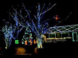 Apple Electric Christmas Lights That Sync With Christmas Music One Of Our Favorite Things To D Christmas Light Show Christmas Lights Christmas Lights To Music