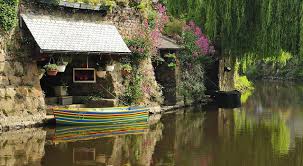 Epingle Sur In Habitat