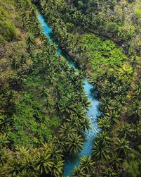 Pemandangan Dari Istanaombak Eco Resort Indahnya Sungai Kali Cokel Jalur Menuju Pantai Watukarung Keindahan Sungai Ini Memang 11 12 D Di 2020 Pemandangan Pantai Goa