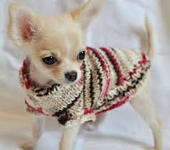 5,721 likes · 9 talking about this. 37 Tierkleidung Und Zubehor Ideen Hunde Pullover Hundepullover Stricken Hundepullover