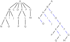 •a binary tree is a data structure that is defined as a collection of elements called nodes. Binary Tree Wikipedia