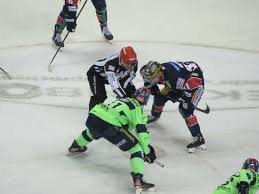 Career stats (appearances, goals, assists) and transfer history. Mathias Niederberger Fur Solche Partien Wenn Es Richtig Eng Wird Und Die Mannschaft Zusammenrucken Muss Spiele Ich Eishockey Eishockey Magazin