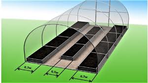 как правильно сделать грядки в теплице 3 на 6 286 Teplica Kak Raspolozhit Gryadki Youtube