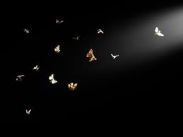 Directional light allows you to highlight a picture or other objects.led life approx. Using A Black Light To Collect Insects At Night