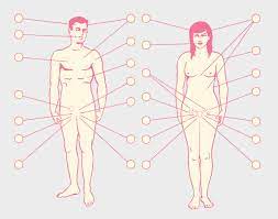 The Sex Talk You Never Had With Your Parents | WIRED