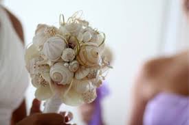 Here is a list of our best choices. Shells Bravobride