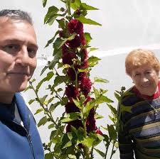 La provocadora foto de Javier Milei y sus candidatos para arrancar la  campaña bonaerense El presidente Javier Milei posó Villa Celina, La  Matanza, en un terreno baldío repleto de basura. El polémico