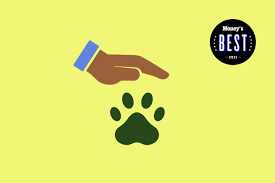 * embrace pet insurance agency, llc, provides quotes from american modern home insurance company and american southern home insurance company on this site. 10 Best Pet Insurance Companies Of 2021 Money
