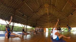 We did not find results for: 24 Day 200 Hour Hatha Vinyasa Sacred Ritual Mantra Yoga Teacher Training Uluwatu Bali Bookyogaretreats Com