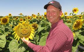 Maybe you would like to learn more about one of these? Flower Power North Texas Sunflower Fields Are A True Treasure