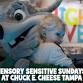 Sensory Sensitive Sunday at Chuck E. Cheese (Tampa... event in Tampa, FL