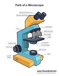 We did not find results for: Microscope Diagram Labeled Unlabeled And Blank Parts Of A Microscope