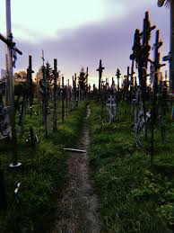 sunny_maria ticket show mirror selfie