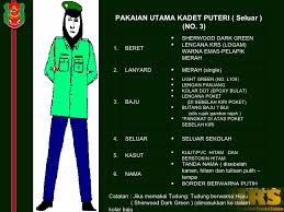 Fesyen, seperti yang anda tahu, adalah kitaran, jadi baju nike menjadi setiap hari lebih popular di kalangan orang muda dan peminat pakaian yang selesa. Logo Tkrs Sekolah Rendah Loculst