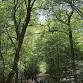 Sunday Social Hike: 11km Epping Forest Circular Trail