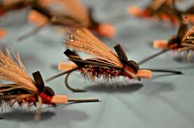 Floatfisher Red Amy S Ant Fly Pattern