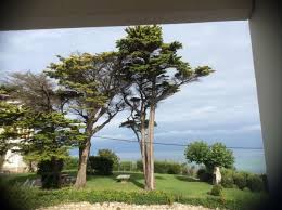 Vente Appartement 2 Pieces 38 M2 Avec Terrasse Vue Mer Bidart Plage De L Uhabia Immobilier Pays Basque Vente Appartement Maison Vue Mer