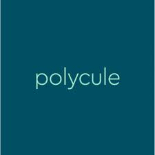 Meaning of polyamorous in english. Polycule Dictionary Com