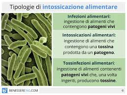 L'intossicazione alimentare è una patologia che si instaura ad una certa distanza di tempo dal consumo di una sostanza tossica per l'organismo o per sue intrinseche caratteristiche o per quantità ingerita. Intossicazione Alimentare Cosa Fare Tipi Sintomi E Rimedi Naturali
