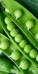 Dogsorb For The Love Of Dog Find Out More At Https Www Dogsorb Com 6 Weeks The Baby Is The Size Of A Pea Dogsorb Vegetables Fruit And Veg Can Dogs Eat