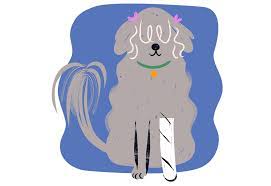 Pet tales rescue is a network of fosters and volunteers that work to find the perfect homes for animals in need. Home Pet Tales Rescue