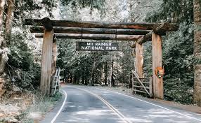 Maybe you would like to learn more about one of these? Family Camping At Mount Rainier National Park Washington Rain And Pine