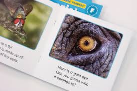 English language development for esl. The Best Leveled Books From Scholastic Reading Club