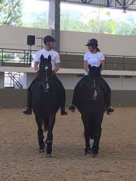 How to warm up your dressage horse. Spencer Wilton Neville Charlotte Dujardin And Blueberry Training In Rio Pferdefotos Pferde Pferd