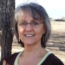 Therapy Horse Children's Books George the Therapy Horse  (@therapyhorsechildrensbooks) • Facebook