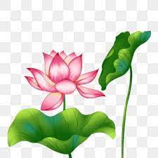 Spring Lotus Lotus Flower Lotus Leaf Lotus Clipart Spring Lotus Png Transparent Clipart Image And Psd File For Free Download In 2021 Pink Flowers Background Flower Clipart Flower Frame