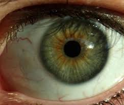 Perierga Gr Ta Pio Spania Xrwmata Matiwn Ston Kosmo Eye Color Rare Eye Colors Girl With Green Eyes