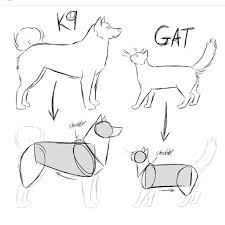 10 Exquisite Learn To Draw Animals Ideas Cat Drawing Tutorial Realistic Drawings Animal Drawings