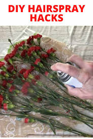 Preserving dried flowers with hairspray. Diy Hairspray Hacks Chas Crazy Creations