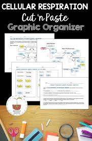 Pin On Science For Secondary Grades Biology Chemistry Physics And More