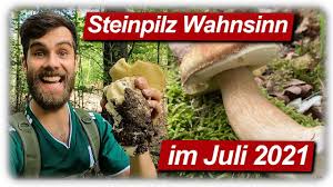 Es geht nicht nur darum, sich selbst zu schützen, sondern auch uns als gesellschaft, sagt spahn im interview dazu: Steinpilz Wahnsinn Juli 2021 Speisepilze Sammeln Im Sommer Youtube